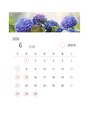 マヤ(Maya)/【6月の営業日】