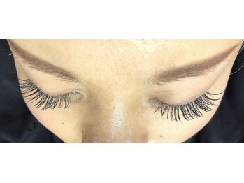 シルフ 石橋店(Sylph)/カシミヤ160本