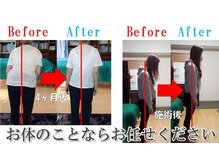 プロビス整体研究会の雰囲気（国家資格所持の整体師による整体施術）