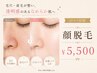 気になる産毛や毛穴に◎【口コミ投稿】圧倒的効果◎お顔脱毛パック付き¥5,500