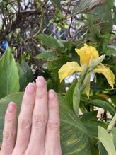 桃の木 吉祥寺店/自爪散歩　カンナ