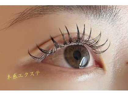 レモン(Lemon)の写真