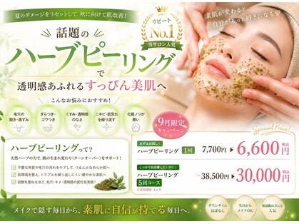 ヴィヴァン(Vivant)の写真