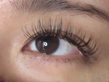 ウルカ アイラッシュ(uruka EYELASH)/フラットラッシュ　180本