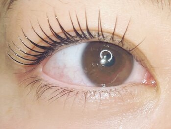 コボアイラッシュ(COVO.eyelash)/ラッシュリフト