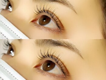 カフェアンドビューティー エスト(cafe&beauty est)/シングルラッシュ