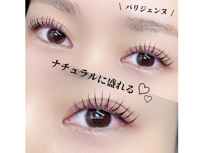 スカーレット(scarlet)の写真