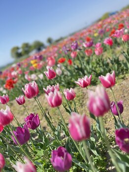 マシュマロハンド/よもぎ蒸し/冷え/むくみ改善