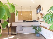 ルシェルブルー(Le ciel bleu)/緑と自然光に癒されます♪