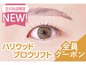 人気No.2★ハリウッドブロウリフト×【NEW】パリジェンヌ【￥9990】[立川]