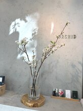 ビューティーデイ バイ オーキッド(BEAUTY DAY by ORCHID)/《脱毛・毛穴・小顔》代々木上原