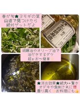 ハリキュウテンチジンアン(HaRiQ.TenChiZin Ann)/東洋医学・漢方・自然派