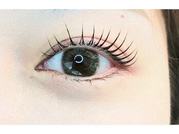 セレビアイ 日本橋店/立上げストレートタイプ