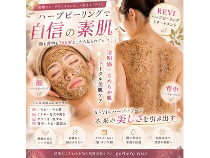 ジェルブラローズ(gerbera rose)の写真
