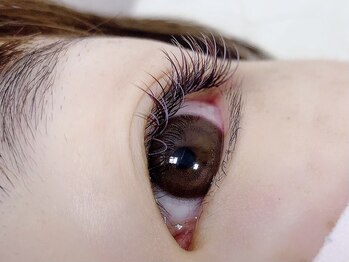 エクリュ アイラッシュ(ecru eyelash)/カラーミックス120本/カラー