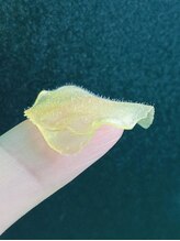 エルモーサ(HERMOSA)/短くて細い産毛もお任せ♪