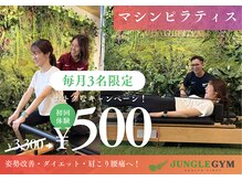 ジャングルジム(JUNGLE GYM)