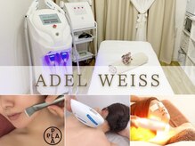 エーデルワイス 桜木町(ADEL WEISS)