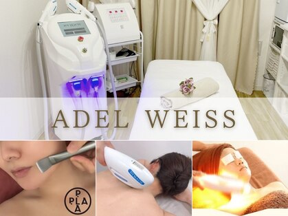 エーデルワイス 桜木町(ADEL WEISS)の写真