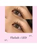 【エクステ人気No1高持続LED】フラットラッシュ150本まで+LED¥6980