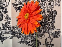 Absalom.【4月1日 NEW OPEN（予定）】/定額デザイン　レトロ　D