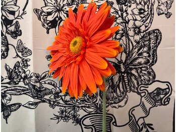 Absalom.【4月1日 NEW OPEN(予定)】/定額デザイン レトロ D