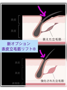 モクレン(Mokuren)/