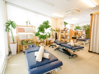 藤沢北口カイロプラクティック