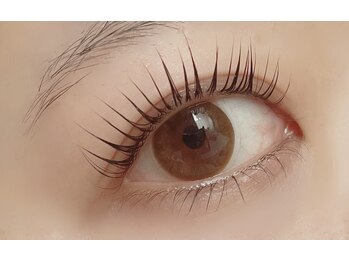 パティラ 千葉店(Petila)/【まつ毛パーマ】立ち上げ