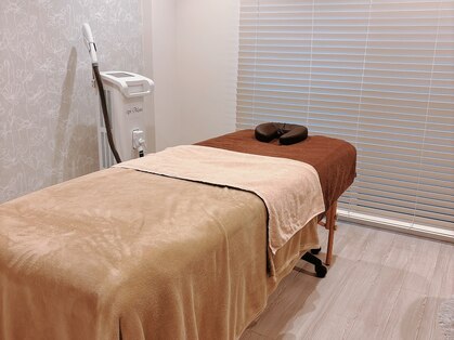 タイム(Thyme)の写真