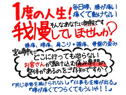 アオ(ao)の写真