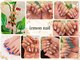 イズモンネイル(izmon nail)の写真