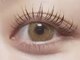ルアナ(Luana)の写真/【平日でお得に美まつ毛☆】自まつ毛を根本から立ち上げるのでより自然かつ美しく、印象的な目元に◎