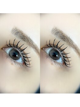 リノ(Lino)/フラット100本