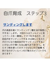 シュシュ(shou shou)/自爪育成　ステップ３