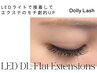 【新メニュー】持続力No.1 LED DL フラット 100本