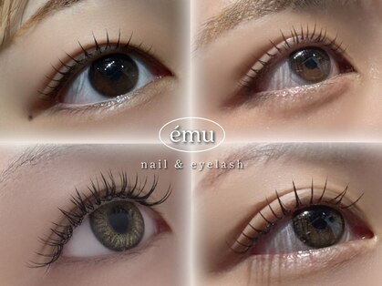 エミュー(emu)の写真