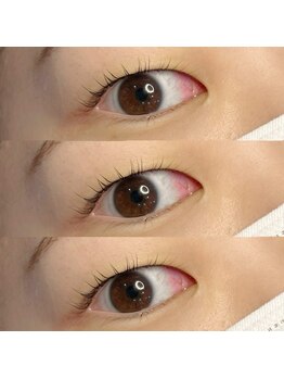 ジョリー(Jolie)/