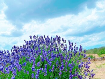 アロマルーム 柚/