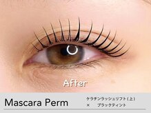 キンバリー 乃木坂店(KIMBERLY)/マスカラパーマ/ティントパーマ