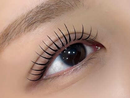 アルディ(hardi)の写真