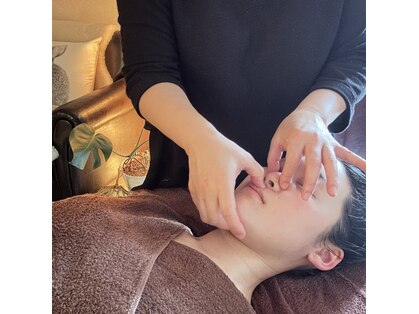 コア(Core)の写真