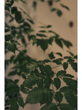 トゥー(too.) ayaka 