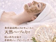 サクラベル(sakura belle)