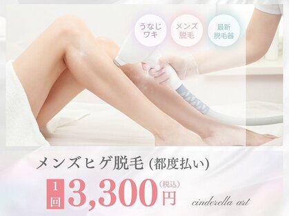 シンデレラアートの写真