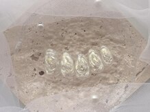 レル(lelu)/4月定額デザインA