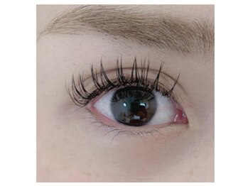 アム アイラッシュ(amu eye lash)/フラットラッシュつけ放題