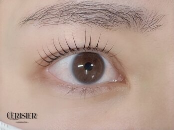 スリジエ(Cerisier)/立ち上げデザイン