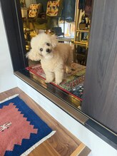 チャナスパ(chana spa)&nbsp;小森田 トナー