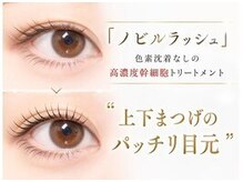 エルア 神戸元町店(elua)の雰囲気（まつ毛パーマ/まつげパーマ/パリジェンヌ/アイブロウ/マツパ）